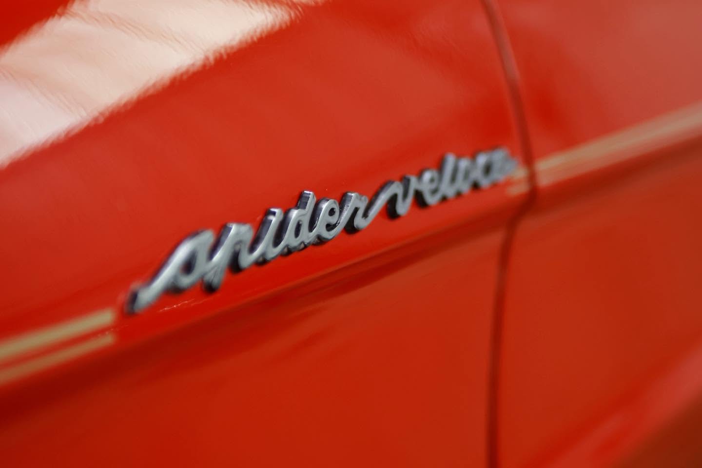 Alfa Romeo spider veloce badge on glossy red paint